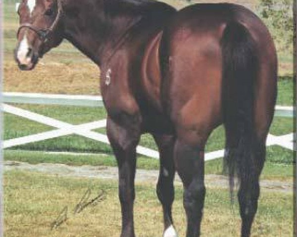 Deckhengst Strawfly Special (Quarter Horse, 1987, von Special Effort)