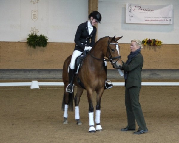 dressage horse Cute Mrs.polly Fh (German Riding Pony, 2011, from Nk Cyrill)