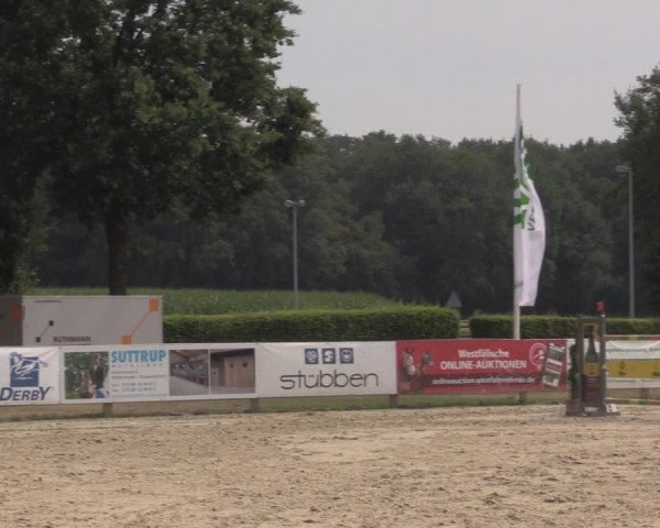 Reitturnier Münster-Handorf 2020