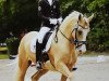 dressage horse CTS Fair Lady (German Riding Pony, 2010, from Casino Royale K WE)