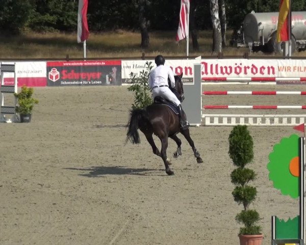 Reitturnier Westergellersen 2020