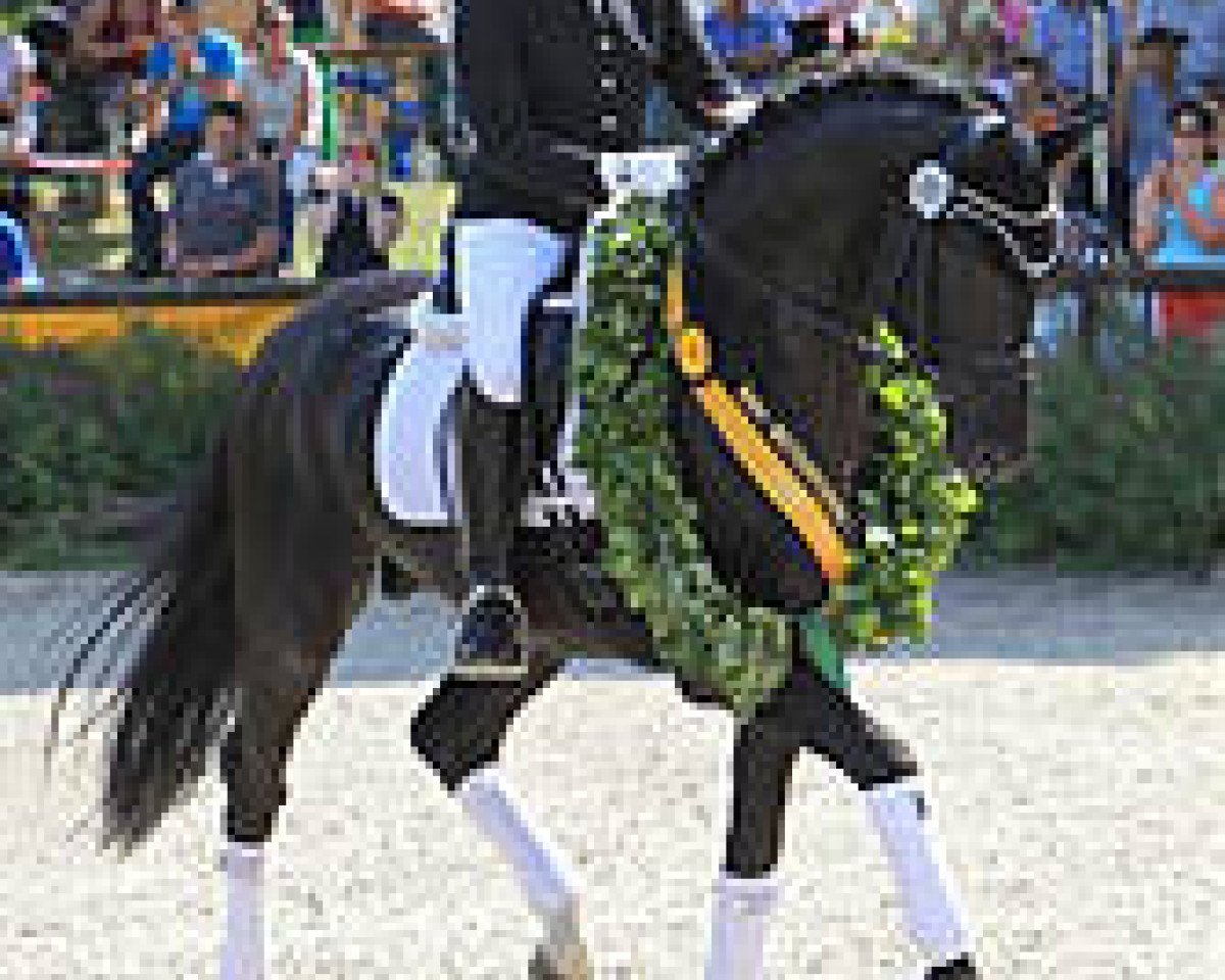 Deckhengst Sir Solitär (Württemberger, 2010, von Sir Sandro)