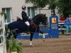 dressage horse Lutalo (German Sport Horse, 2010, from L'Ami)