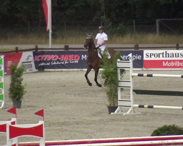 Reitturnier Westergellersen 2020