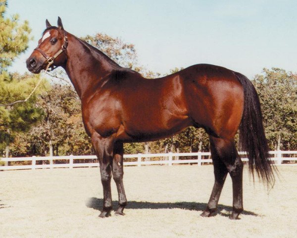 Deckhengst Corona Cartel (Quarter Horse, 1994, von Holland Ease)