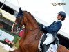 dressage horse Zeyden Gin (KWPN (Royal Dutch Sporthorse), 2004, from Weyden)