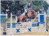 broodmare Ricarda (Oldenburg show jumper, 2003, from Balou du Rouet)