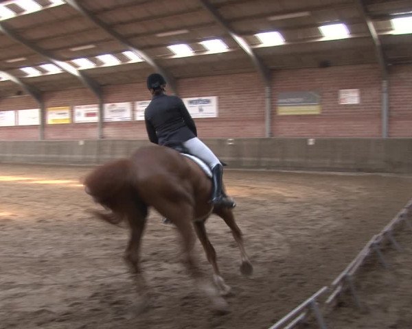 Reitturnier Kirchhoven-Vinn 2020
