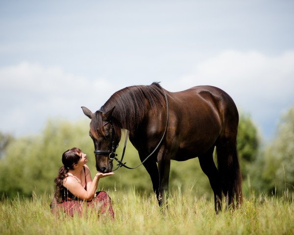 broodmare Ronja (Thuringia, 2002)