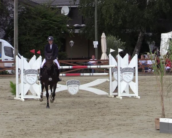Equus Colonius - Reitanlage Brüse Köln 2021