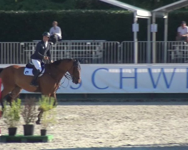 FEI Reitturnier Eschweiler (GER) 2020