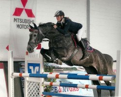 broodmare Cascada 35 (Holsteiner, 2004, from Casall Ask)