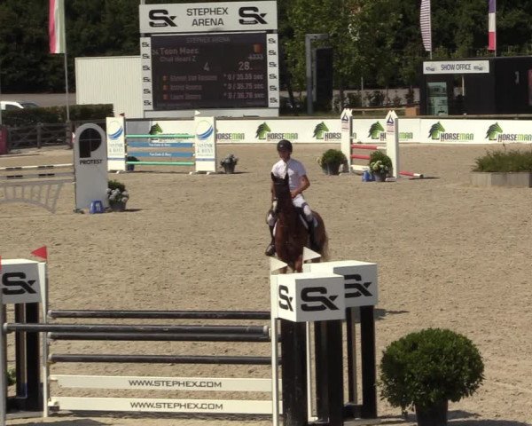 Gold +Cyclus Jonge Paarden in Lier (BEL) 2020