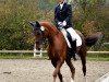 jumper La Finnya (Hanoverian, 2008)