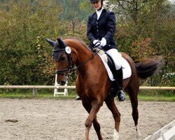 jumper La Finnya (Hanoverian, 2008)