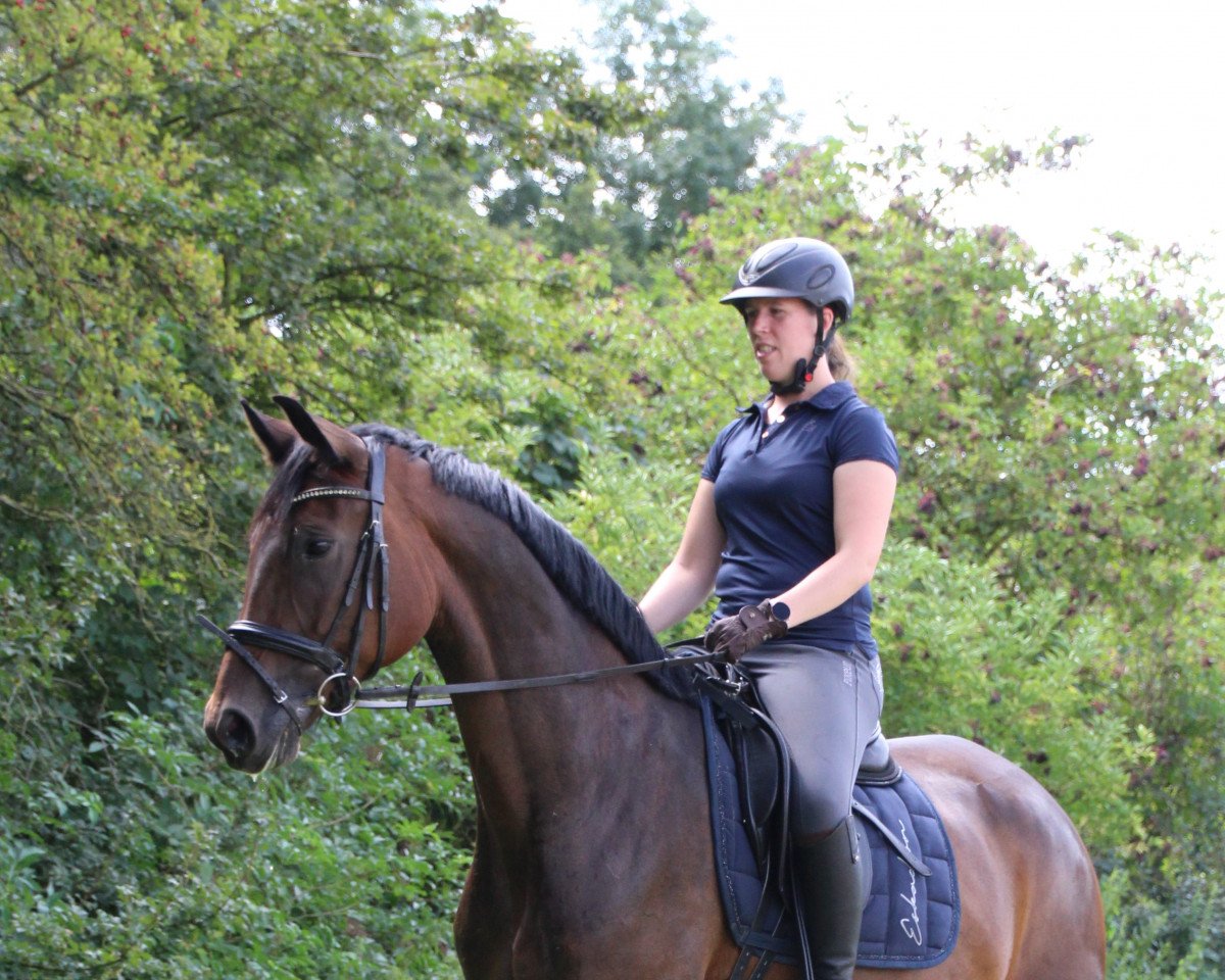 dressage horse Flor de La Vida (Westphalian, 2016, from For Romance I)