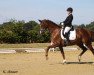 dressage horse Disneys Fairytale (Hanoverian, 2012, from Demirel)