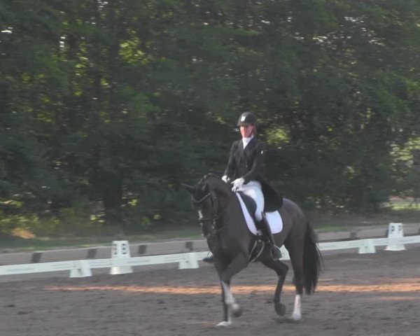 Reitturnier Dallgow 2020