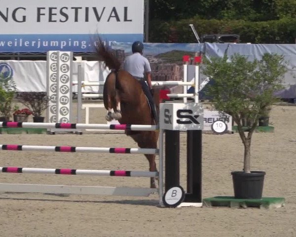 FEI Reitturnier Eschweiler (GER) 2020