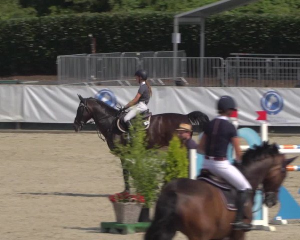 FEI Reitturnier Eschweiler (GER) 2020