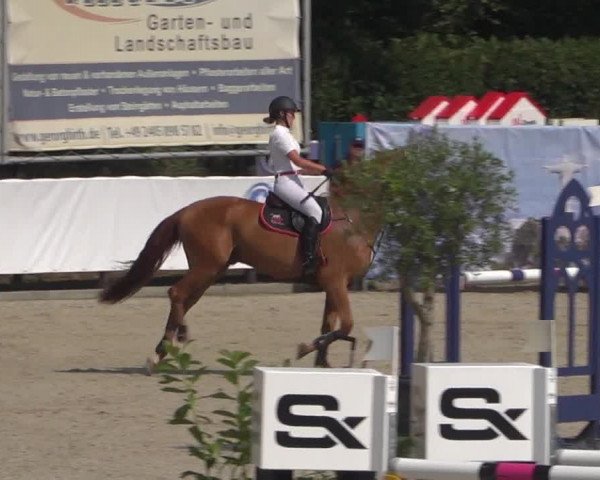 FEI Reitturnier Eschweiler (GER) 2020