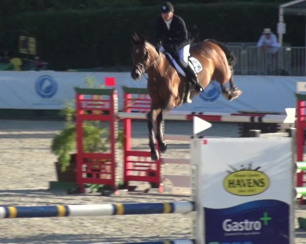 FEI Reitturnier Eschweiler (GER) 2020