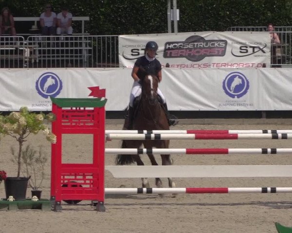 FEI Reitturnier Eschweiler (GER) 2020
