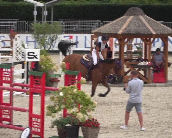 FEI Reitturnier Eschweiler (GER) 2020