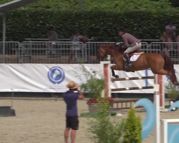 FEI Reitturnier Eschweiler (GER) 2020