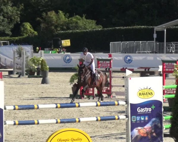 FEI Reitturnier Eschweiler (GER) 2020