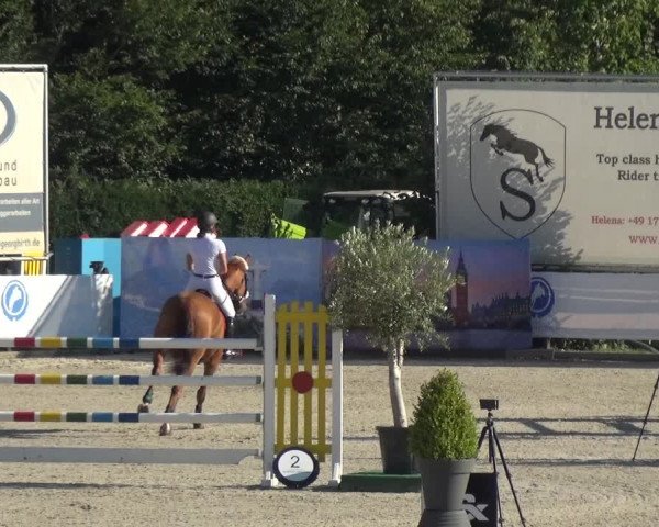 FEI Reitturnier Eschweiler (GER) 2020
