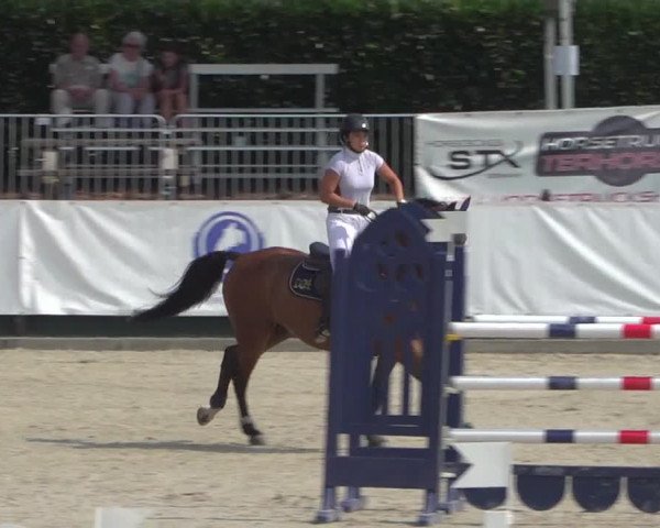 FEI Reitturnier Eschweiler (GER) 2020