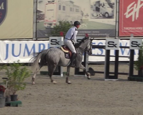 FEI Reitturnier Eschweiler (GER) 2020