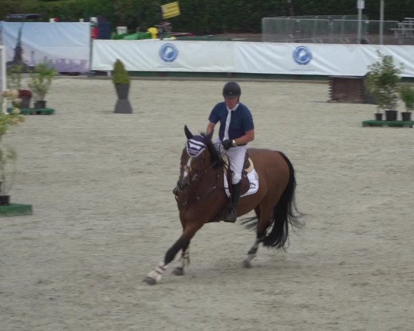 FEI Reitturnier Eschweiler (GER) 2020