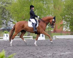 dressage horse Royal-Flush H (Württemberger, 2005, from Rubin Royal OLD)