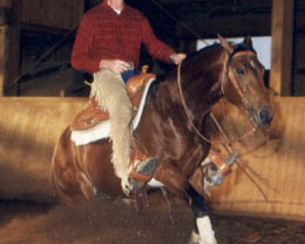 stallion Joe Dun Didit (Quarter Horse, 1994, from Hollywood Dun It)