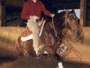 stallion Joe Dun Didit (Quarter Horse, 1994, from Hollywood Dun It)