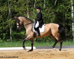 broodmare Tereza (Czech Warmblood, 1996, from Taarlo Kubista)