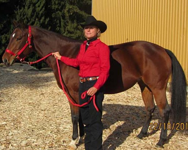 Zuchtstute Star Dust Didit (Quarter Horse,  , von Joe Dun Didit)