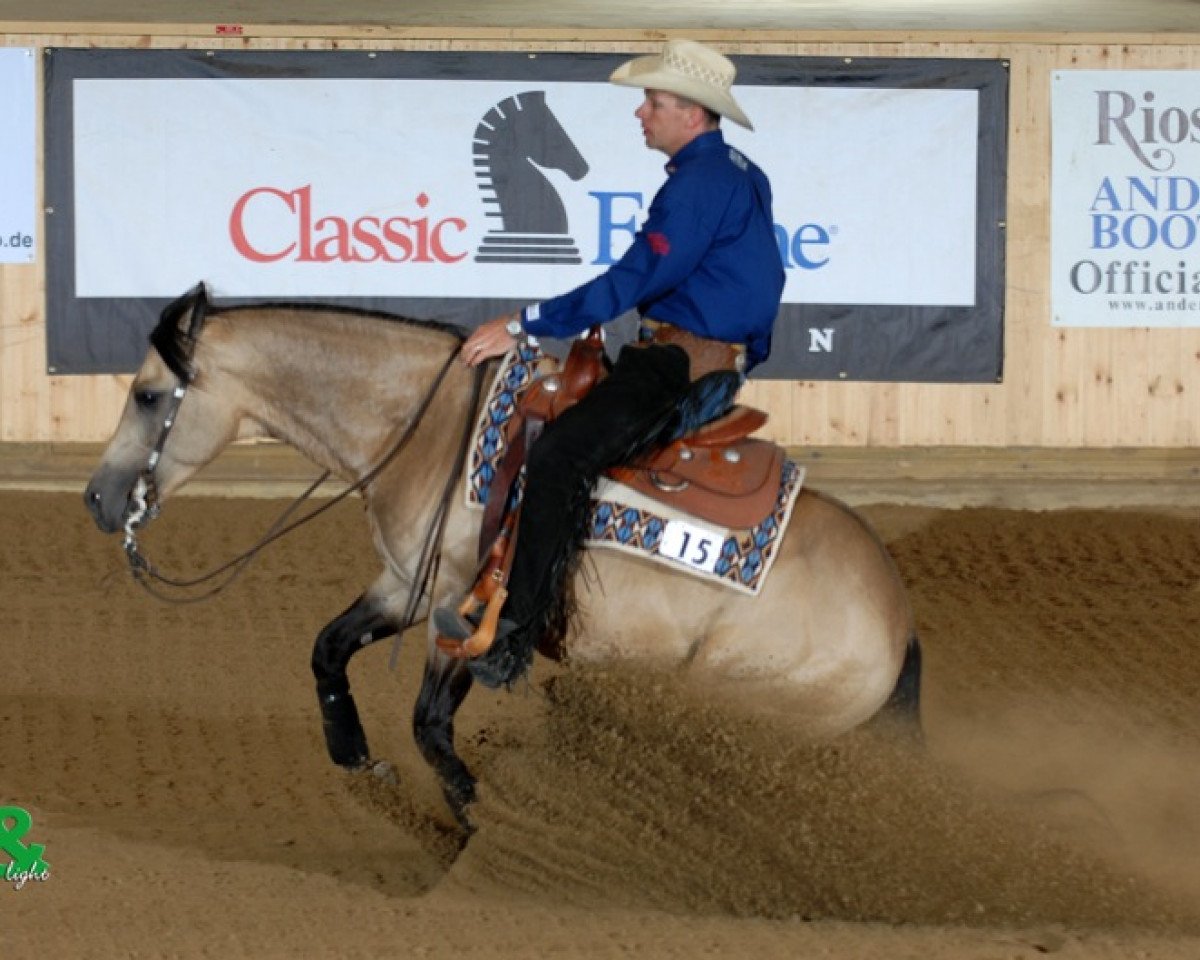 stallion Lil Peppy Dun It Right (Quarter Horse, 2001, from Hollywood Dun It)