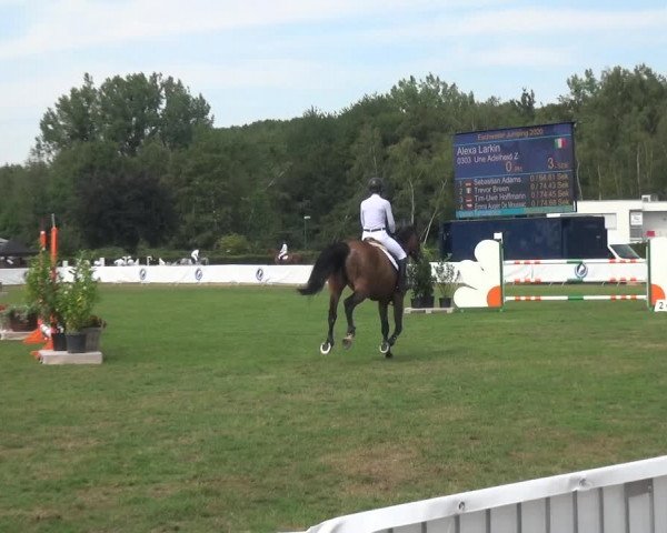 FEI Reitturnier Eschweiler (GER) 2020