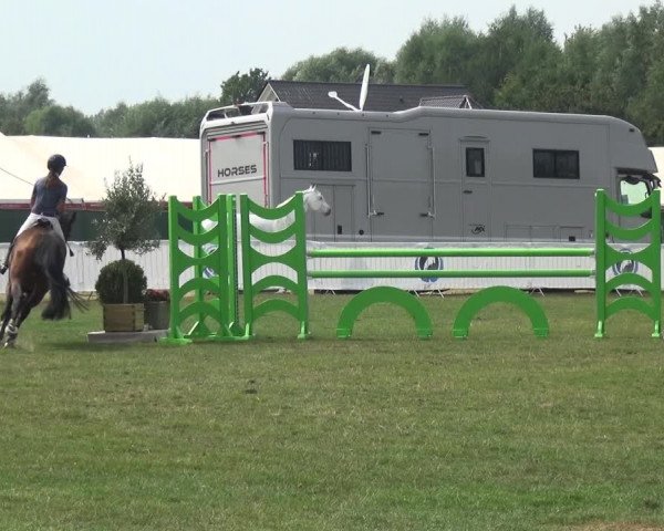 FEI Reitturnier Eschweiler (GER) 2020