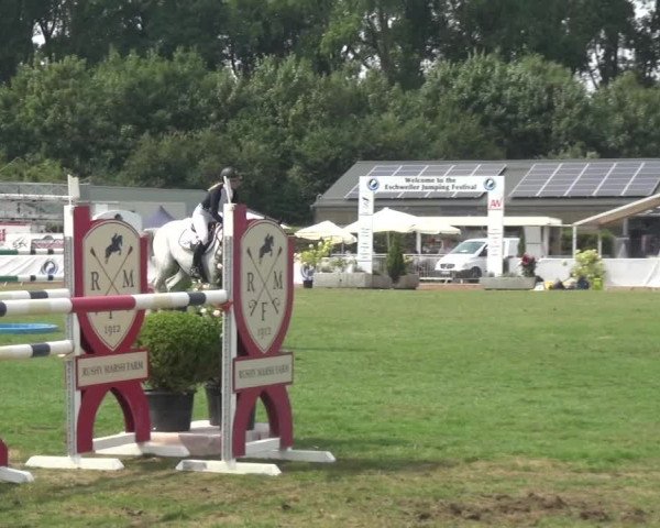 FEI Reitturnier Eschweiler (GER) 2020