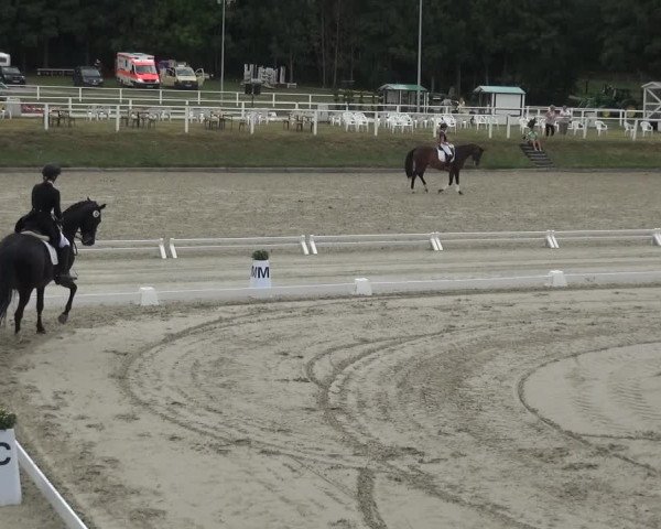 Reitturnier Bergisch Gladbach - Hebborner Hof 2020