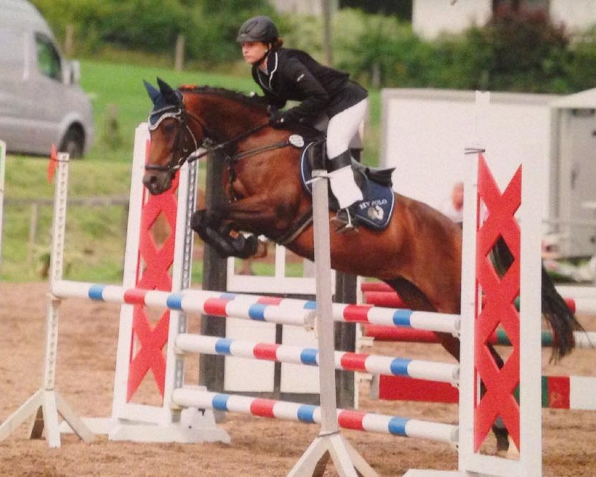 jumper Gondoliere (German Riding Pony, 2003, from FS Golden Highlight)