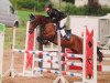 jumper Gondoliere (German Riding Pony, 2003, from FS Golden Highlight)