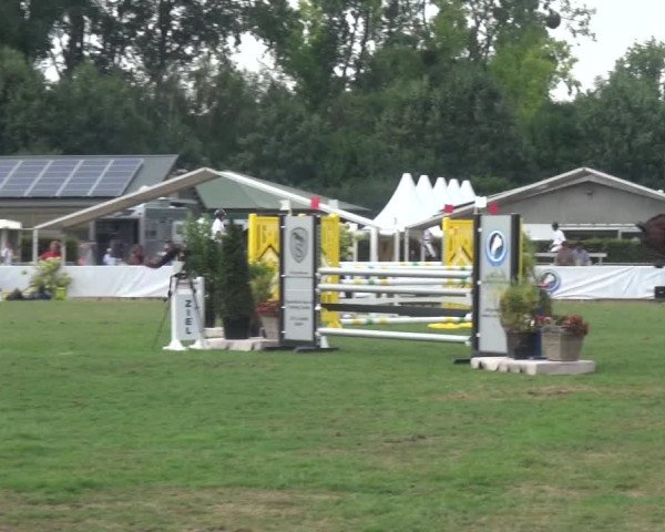 FEI Reitturnier Eschweiler (GER) 2020
