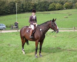 jumper Rosalie 153 (Hanoverian, 2004, from Rhytmo)