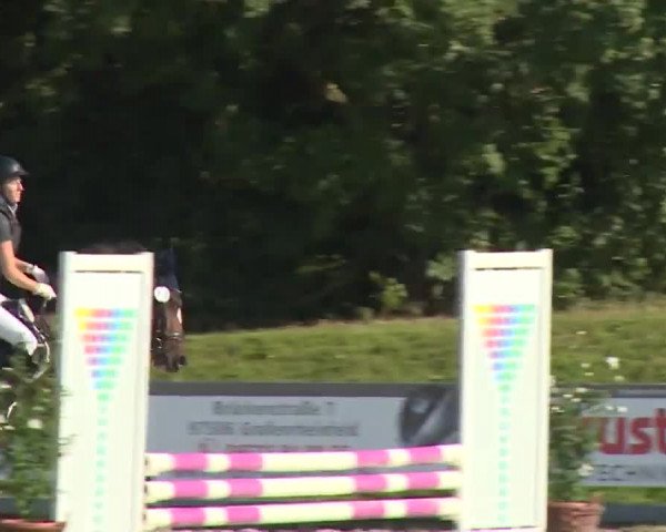 Reitturnier Grafenrheinfeld/Ufr. 2020
