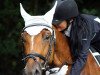 dressage horse Inferno (Belgian Warmblood, 2008, from In Flagranti)